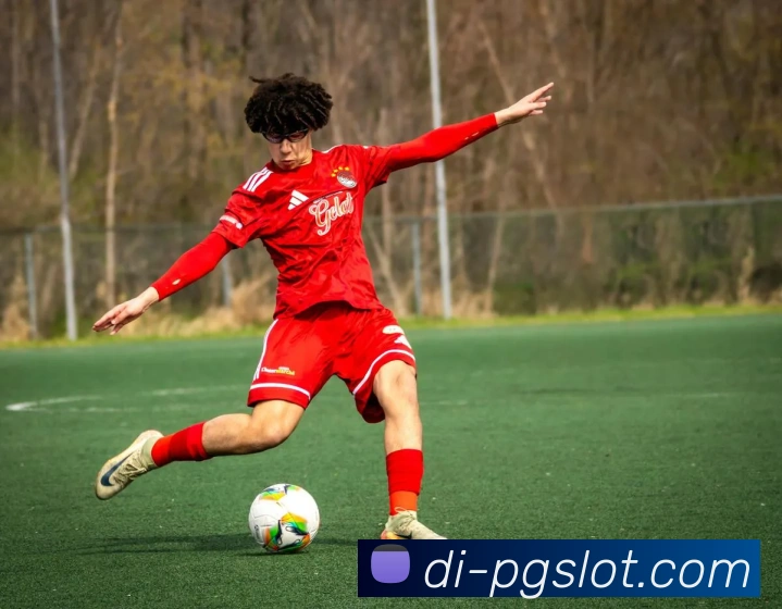 麻将胡了PG官网APP 封面图